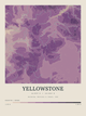 Yellowstone — Contour Colour print in Plum & Clay