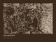 Yellowstone — Ink print in Atlas Dark (landscape)