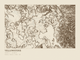 Yellowstone — Ink print in Atlas Light (landscape)