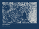 Yellowstone — Ink print in Blueprint Dark (landscape)