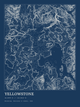 Yellowstone — Ink print in Blueprint Dark