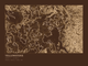 Yellowstone — Ink print in Desert Dark (landscape)