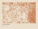 Yellowstone — Ink print in Desert Light (landscape)