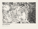 Yellowstone — Ink print in Ink Light (landscape)