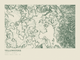 Yellowstone — Ink print in Ranger Light (landscape)