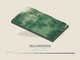 Yellowstone — Terrain Relief print in Forest Floor (landscape)