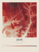 Zion — Contour Colour print in Red Earth
