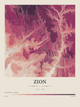 Zion — Contour Colour print in Rose & Stone