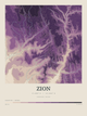 Zion — Contour Colour print in Plum & Clay
