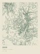 Zion — Ink print in Ranger Light
