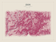 Zion — Red Relief print in Rose & Stone (landscape)