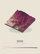 Zion — Terrain Relief print in Rose & Stone